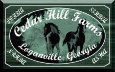 Cedar Hill Farms