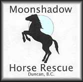 Moon Shadow Horse Rescue